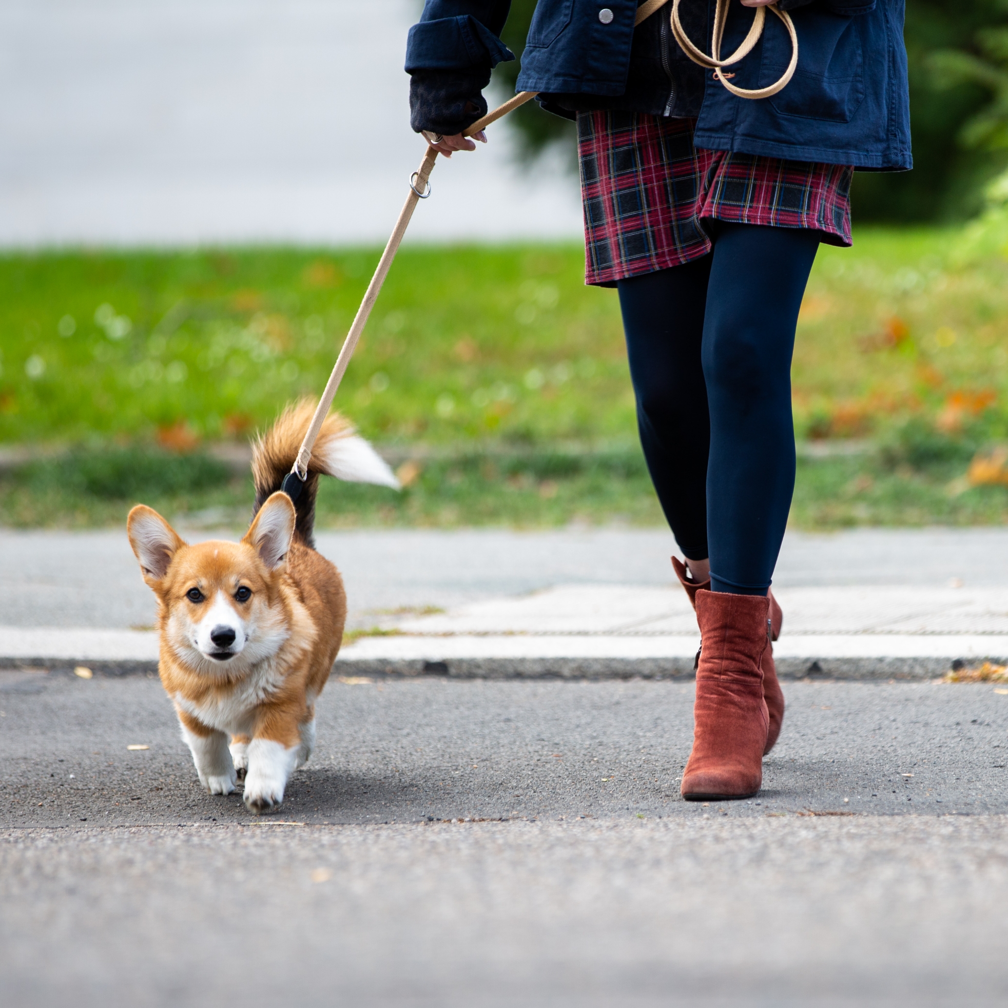 woman walking dog